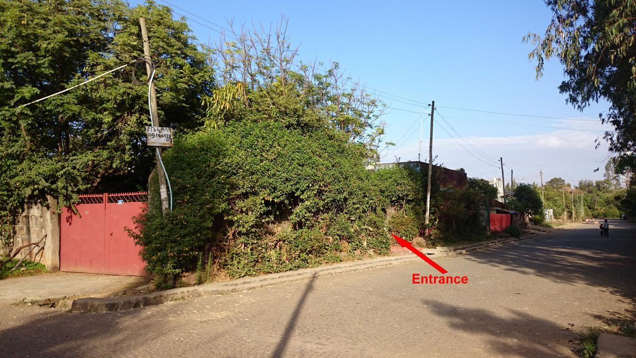 B&B The Annex Bahir Dar Exterior photo